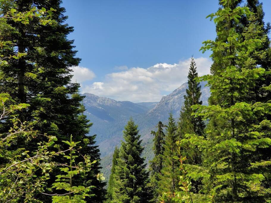 Redwood Retreat, Mountains, Adventure And Nature Ponderosa Exterior foto
