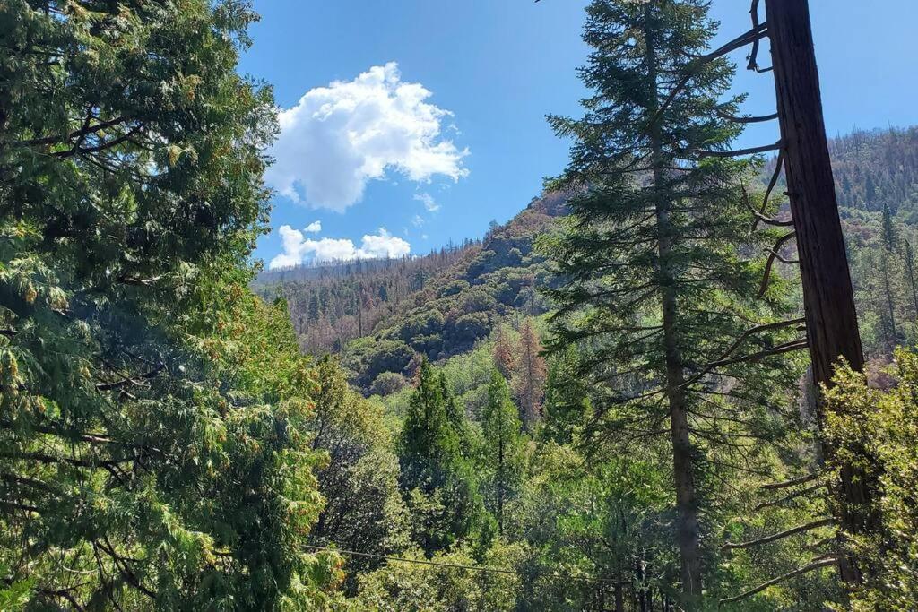 Redwood Retreat, Mountains, Adventure And Nature Ponderosa Exterior foto