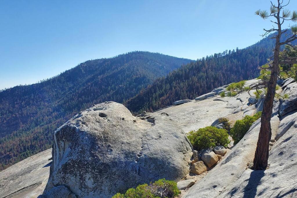 Redwood Retreat, Mountains, Adventure And Nature Ponderosa Exterior foto
