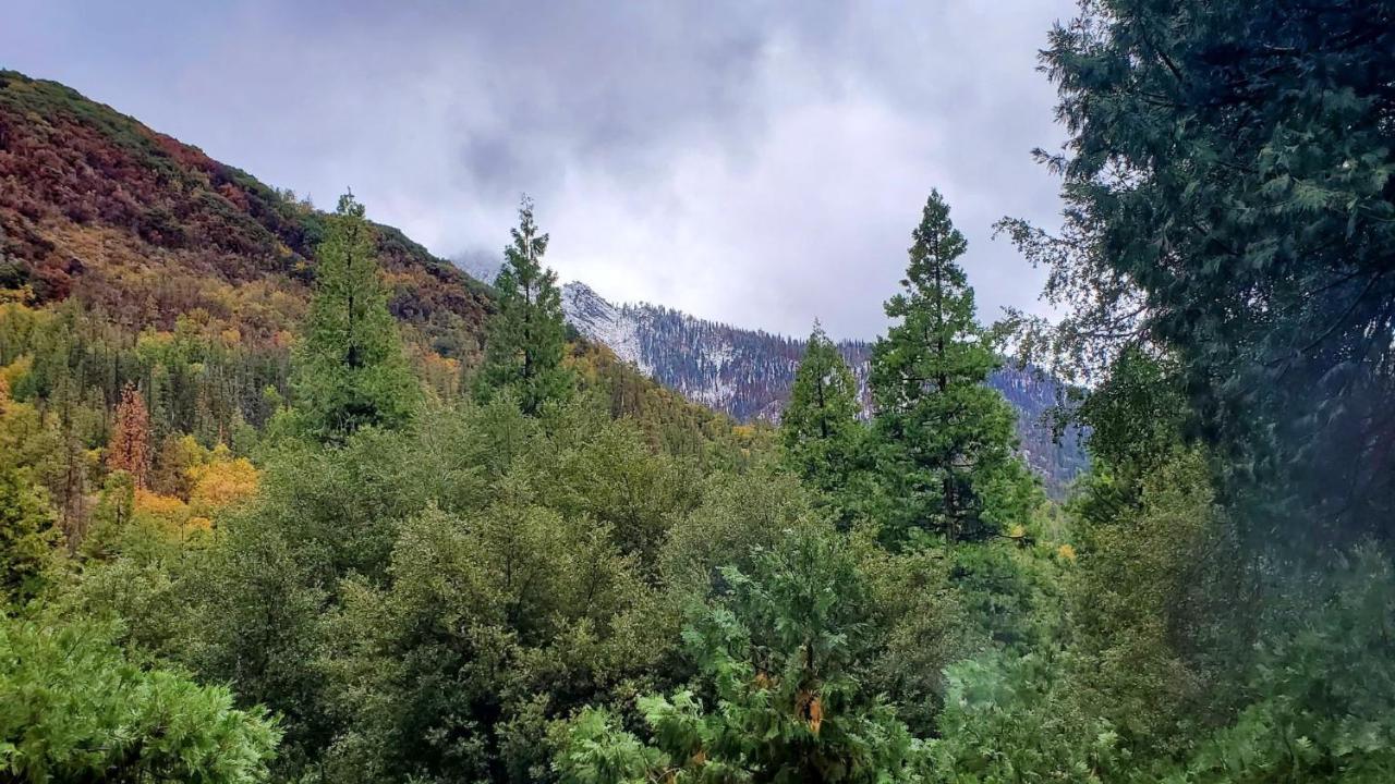 Redwood Retreat, Mountains, Adventure And Nature Ponderosa Exterior foto